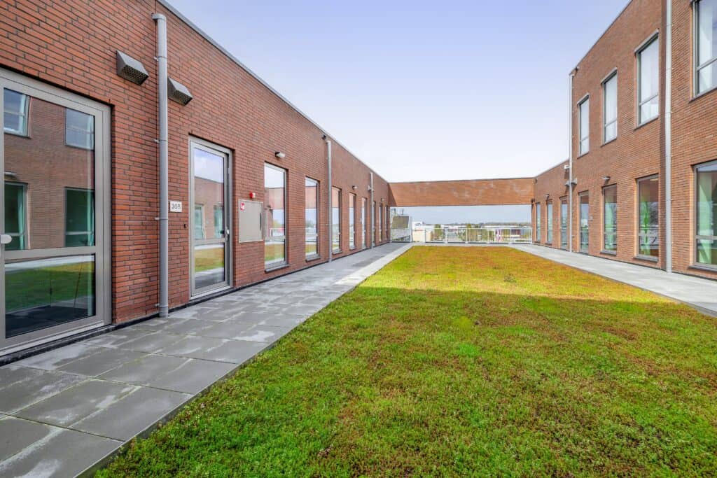 Patio 3